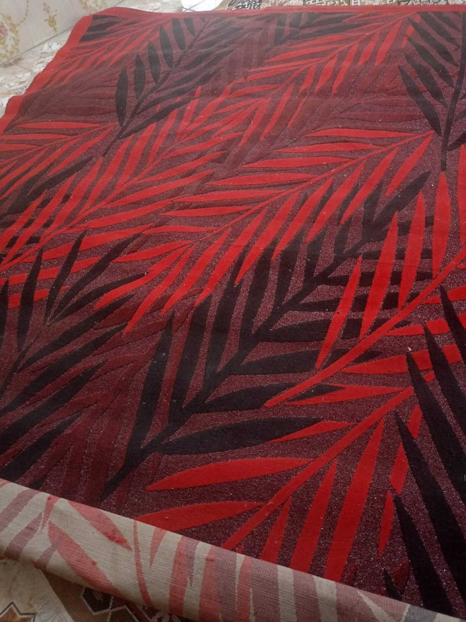 زوالي تركي للبيع الاحمر العرض ٣وطول ٤ب٤٠بيها مجال زوالي طول ٤والعرض متر ب٣٥بيهن مجال زوليه ٣ف٢٥٠٠ ٤٠


**إذا كنت صاحب هذا الإعلان وتريد حذفه لأي سبب، رجاءا أرسل رسالة إلى الدعم الفني**