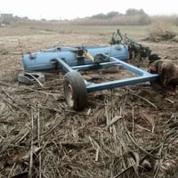 معدلان • ٣.٥م • مكفول كفاله عامه