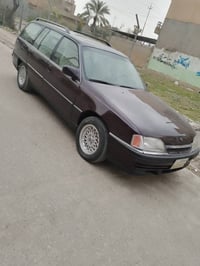 بذنجاني • ١٩٩٣ • مشروع وطني