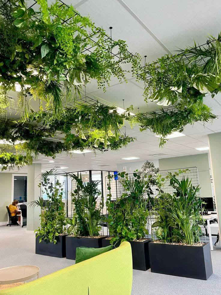 🌿 متدليات وكرات زرع بأشكال فخمة 🌿
لمسة ديكور تخلي المكان أرتب وأجمل 😍

مناسبة للبيت، القاعات، المحلات والكافيهات ✨

✅ ألوان وأشكال متنوعة

✅ جودة مرتبة

✅ أسعار مناسبة


**إذا كنت صاحب هذا الإعلان وتريد حذفه لأي سبب، رجاءا أرسل رسالة إلى الدعم الفني**