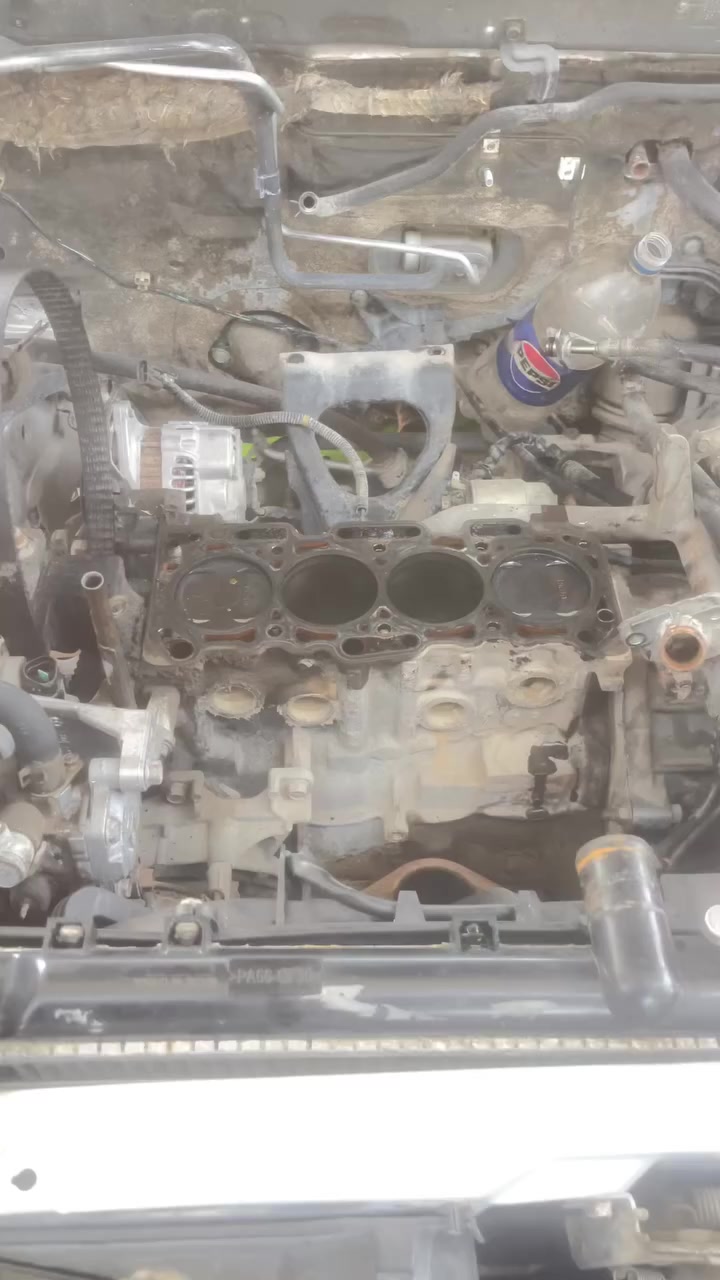 اللهم. صلي على محمد وال محمد
شلونكم حبايبي 

نرجع ونكول روح لمكان صح. وعوف شغل. لبلاش. 
هاي ضحيه. ثانيه من احد. لورش  
تحياتي. الكمخدمات داوود  قطع غيار السيارات لانسر بومه +قرش+سمكره+صبغ عام +تعديل 🚖🚖

العنوان بعقوبة حي المعلمين صناعه اولالى داخل 

هاتف 📞 ***********
@الجميع

#لاتقلد الفيديو. الي. بالي
