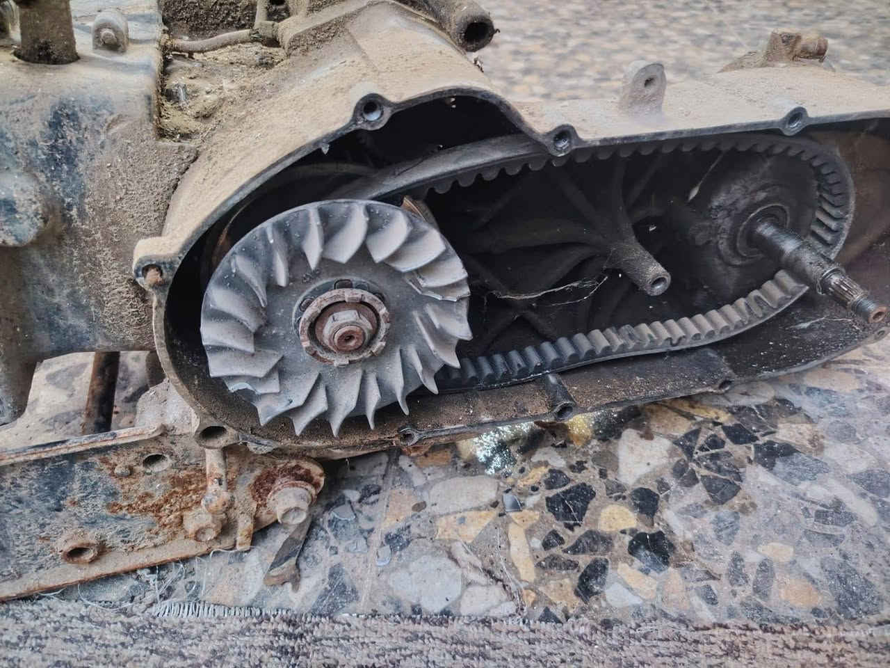 البيع تفصيخ تريد كامل تريد تفصيخ بيع الك نتصل بيك خير تدلل مكانه بصره معقل ***********
