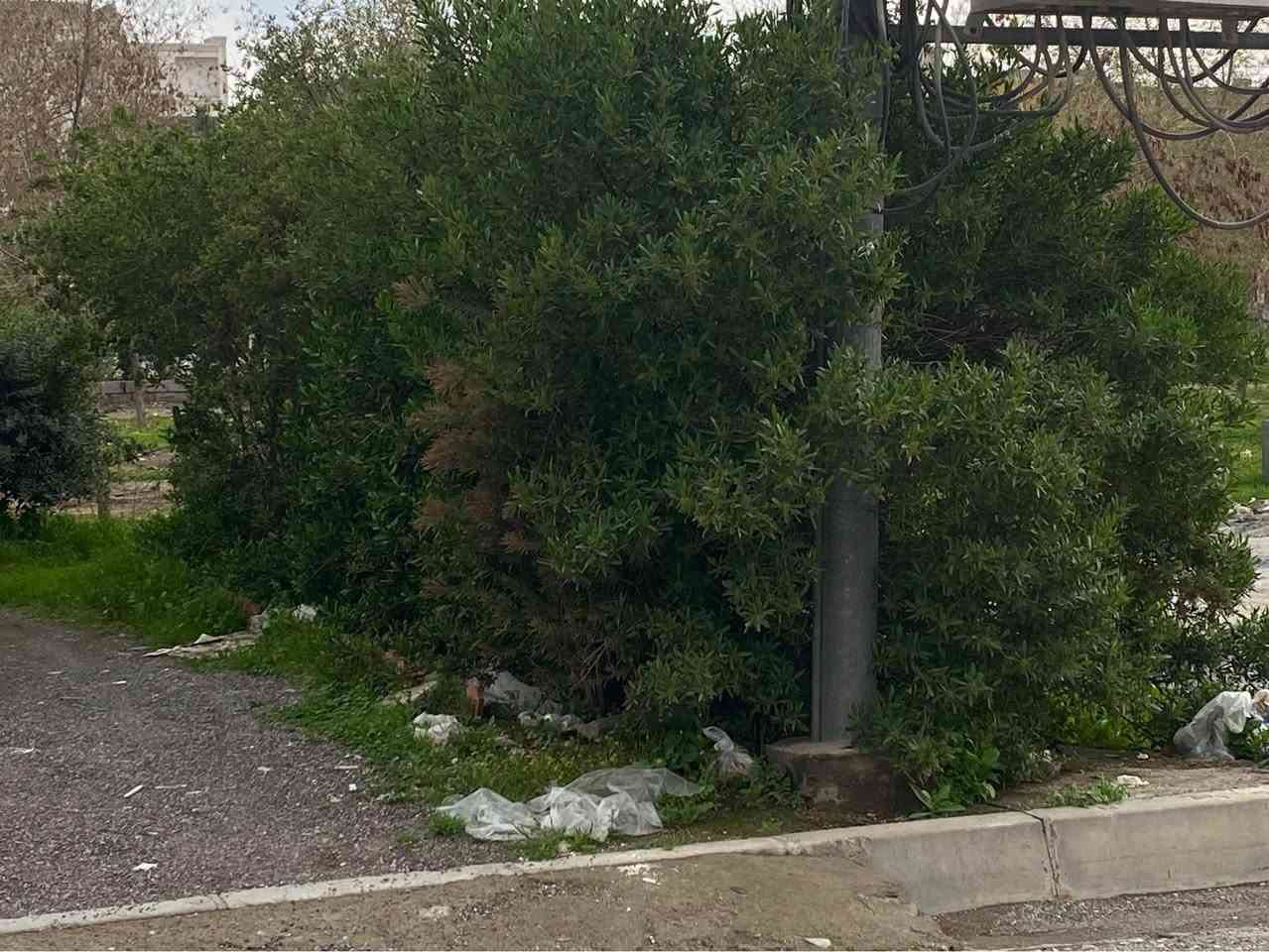 حاكماوا ١٣٠مەتر بەرامبەر باخچە بۆ فرۆشتن
.
حاكماوا اربيل ١٣٠م مقابل حديقة للبيع
.
.***********واتساب
***********.
اري طاهر
عقارات مەلەك تاج اربيل
.
‏‪#Ari_tahir‬ #اري_طاهر #ملك_تاج_اربيل #مەلەک_تاج_ئەربیل #Malak_Taj_Erbil #Erbil أربيل, العراق
