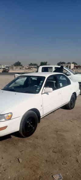 سلام عليكم كورلا بغداد بسمي سعرها 20 محتاز كلش عندي حالت ولاده. 
 ***********
