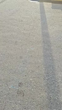 بيت للبيع العنوان بغداد المعامل قطاع خمسه قرب الشارع العام المساحه /19...