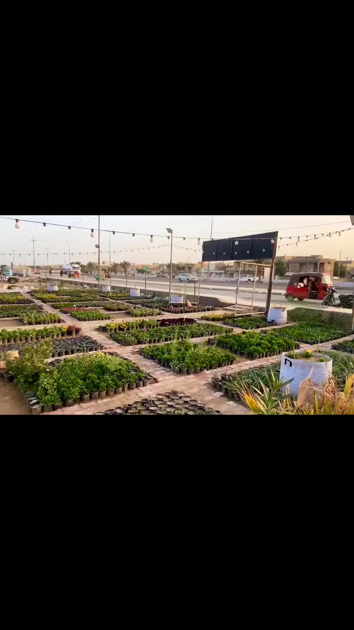 أزرع طيب تحصد طيب


**إذا كنت صاحب هذا الإعلان وتريد حذفه لأي سبب، رجاءا أرسل رسالة إلى الدعم الفني**