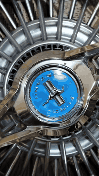 سلام عليكم كبات موستنك حجم 14 وسيبايه بيجو بارص او ويلات مال بيجو بارص وتايرات جدد قبل سبوع شادهن للبيع *********** ابيعن كلهن سوه
