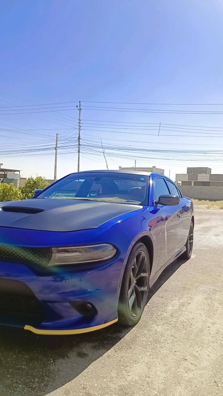 💵الـــــســعـــــر 250$ورقه وبيه مجال
🛞نــوع الــمـركـبة:- دوج جارجر  GT
🪙الـــــمــوديــــل:-2021
⚙️حــجـم الـمـحرك:-3.600 
🧭الــــعـــــــــداد:72 الف كيلو 
💌الـــــــوحـــــــة:-بغداد رقم انكليزي تحويل مباشر
💥الايــــربــاك:طاك

الضرر:- دعاميه اماميه وبنيد 

          💎💎الـــــــمــــواصــــفــــات💎💎

♦️شاشة كبيرة 
♦️فتحة سقف
♦️كامرة خلفية
♦️بصمة تشغيل 
♦️بصمة أبواب
♦️تشغيل عن بعد
♦️تحكم أستيرن
♦️لد نهاري 
♦️كشن الأمامي كهربائي
♦️ تدفئة كشنات 
♦️رادرات جوانب
♦️رادار خلفي للتوقف الذاتي
♦️ويل كب 
♦️كشنات حضن 
♦️تدفئه كشنات
♦️لايت زنون
***********
