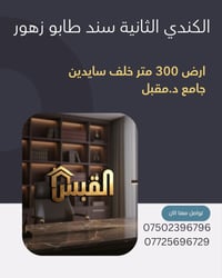 الكندي الثانية • ٣٠٠م² • سند طابو