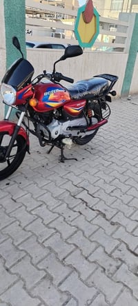 بوكسر 21 • كفالة عامة • أوراق أصولية