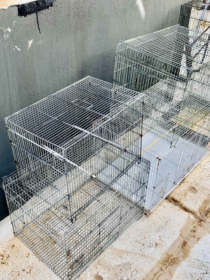 بسم الله الرحمن الرحيم 

أقفاص للطيور 🪽والببغاوات 🦜 للبيع 
ب 60 كلهم 💵. للعلم اقل واحد بيهن مشتري ب 20 واكو بيهن اشتريته وما أستخدمته ‼️

للتواصل ***********📲
موقع 📍مقابل جامعة ديالى
