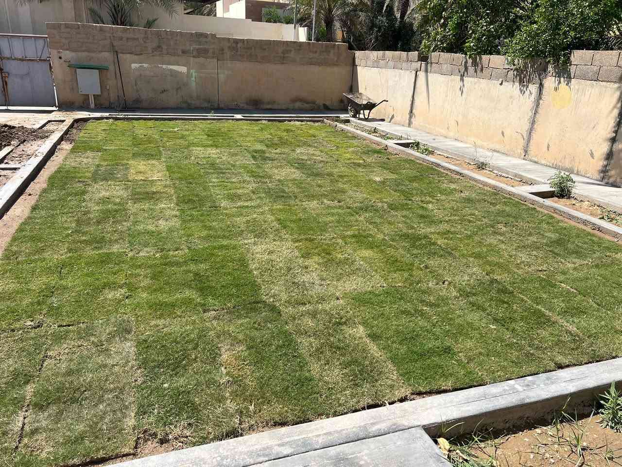 جزء من عملي قص وترتيب الحدائق

اتصل وتدلل ***********
