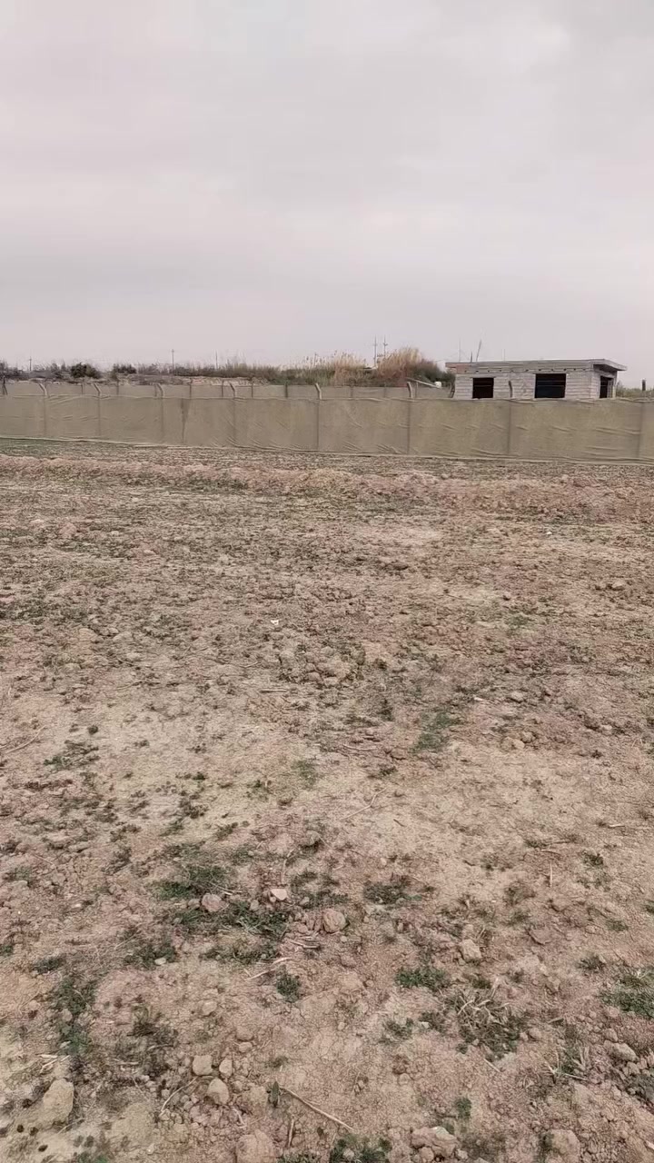 دونم عقد زراعي واحد فقط على الشط واجهه الأرض ٣٨ متر في واسط حي الحكيم قرب المجسر الميناء ومتوفر فيها كهرباء السعر ٣٨ ترهم حقول دجاج ترهم حقول عجول وترهم سكن او متنفس الاتصال على صاحب الأرض الحاج ابو عزام الواسطي ***********
