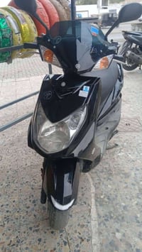 سكنس فحل • ابو غریب