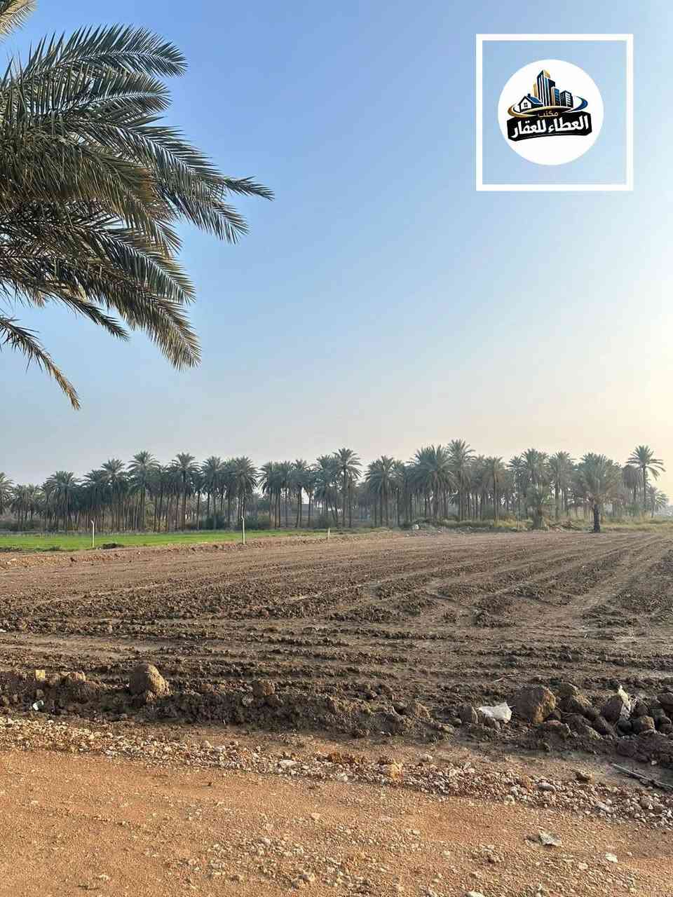 🕋 السلام عليكم ورحمه الله وبركاته 🕋

 عرض اليوم جدا مناسب 📍
قطع اراضي عدد.  ( 200  )   قطعه  بمختلف المساحات والأسعار حسب المساحه 

٩ مليون ٨ مليون ٧ مليون .....🗣🗺

مجاور مبنى المحافظه الجديده بالمجمع الحكومي 📍🪧

...للاستفسار زيارة مكتب العطاء الكائن في منطقة البوفراج ( فلكة الدله ) 📞📍

او الاتصال على الأرقام......📞🗣

***********  
***********
