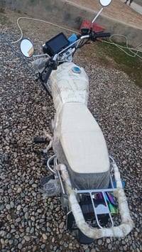 سولنك تايكر • ٢٠٢٥ • اربعه كير