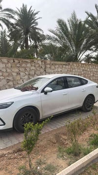 ٦٠٠ كيلو • مرقمه نجف • زيرو