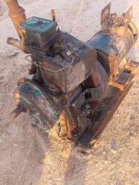 كلستر • فول شغاله