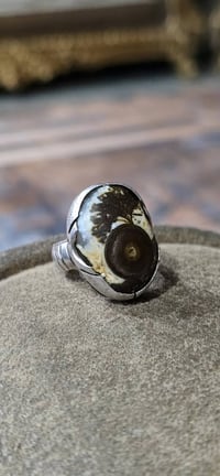 معطف انتيكه • قديم • ميسان