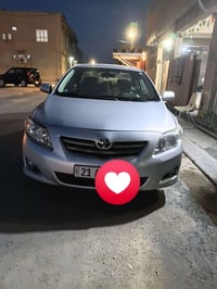 فول عادي • بدون صبغ • ٢٠٠٨