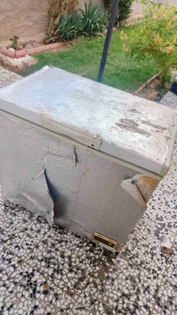 مجمده من القديمات مو تجاري نفس السوق اصلي اخوان عباره عن ثلج فقط يرادله غسله ومغلفه بعدها بالضمان 10 سنوات سعرها 175
عنوان رمادي ***********
