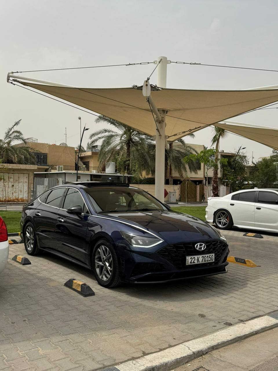 السلام عليكم
سوناتا للبيع
موديل 2022
كير و مكينه كفالة
الحدادية وضع الشركة سيارة نضيفة ما متعوبة
ضرر جاملغ خلفي فقط صبغ
والباقي كفالة
السيارة فول مواصفات للأخير
1 بانوراما فتحتين
2-خمس بصمات لمس
3الجنطة تنفتح بحركة الرجل
4 تبريد مقاعد والاستيرن وتدفئه + قطعتين تبريد 
5 كشنات جلد كهربائية
6 اربع كامرات
7 حساسات خلفية وامامية
8-قيادة ذاتية مثبت سرعة وتحديد مسار
9 توقف ذاتي
10 شحن لاسلكي +شاشة كبيرة بلاد تدعم كار بلاي
وبعد هواي مواصفات السيارة جاهزة
مكاني ذي قار
رقم أربيل حرة
السعر 166 وبيهة مجال
رقمي ***********
