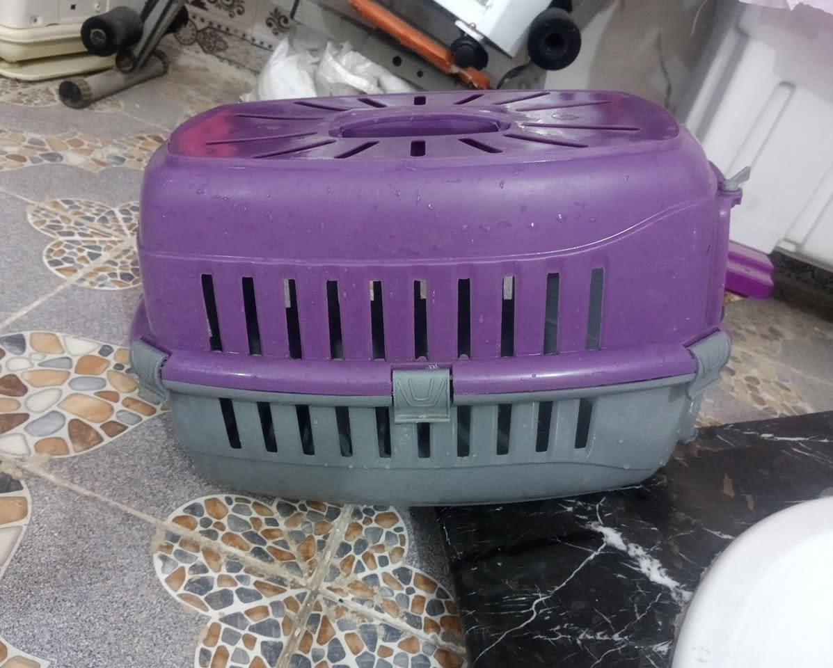 للبيع شراي تعال خاص مكاني النجف الاشرف


**إذا كنت صاحب هذا الإعلان وتريد حذفه لأي سبب، رجاءا أرسل رسالة إلى الدعم الفني**