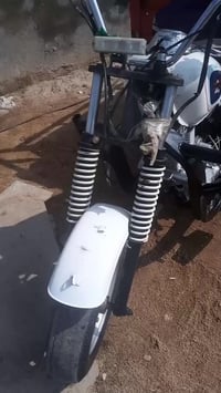 ستوته • دايون • ٢٠١٥