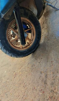 ثعلب • تفصيخ • رياضي