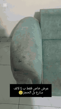 غسل قنفات موقعي 
***********
***********
