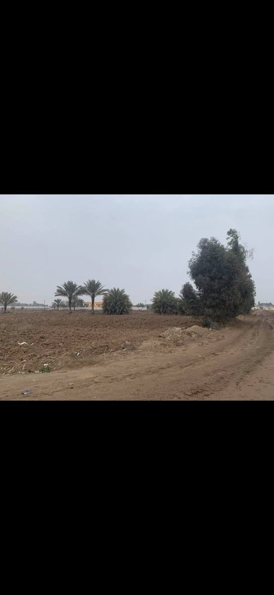 ارض للبيع 2 دونم
زراعي سند 25
الموقع اطراف بغداد قرية المراسمة 
قريب من الفوج الألي الاول للتحادية
*********** واتساب
