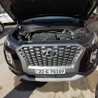 باليسايد • ٢٠١٩ • كفالة