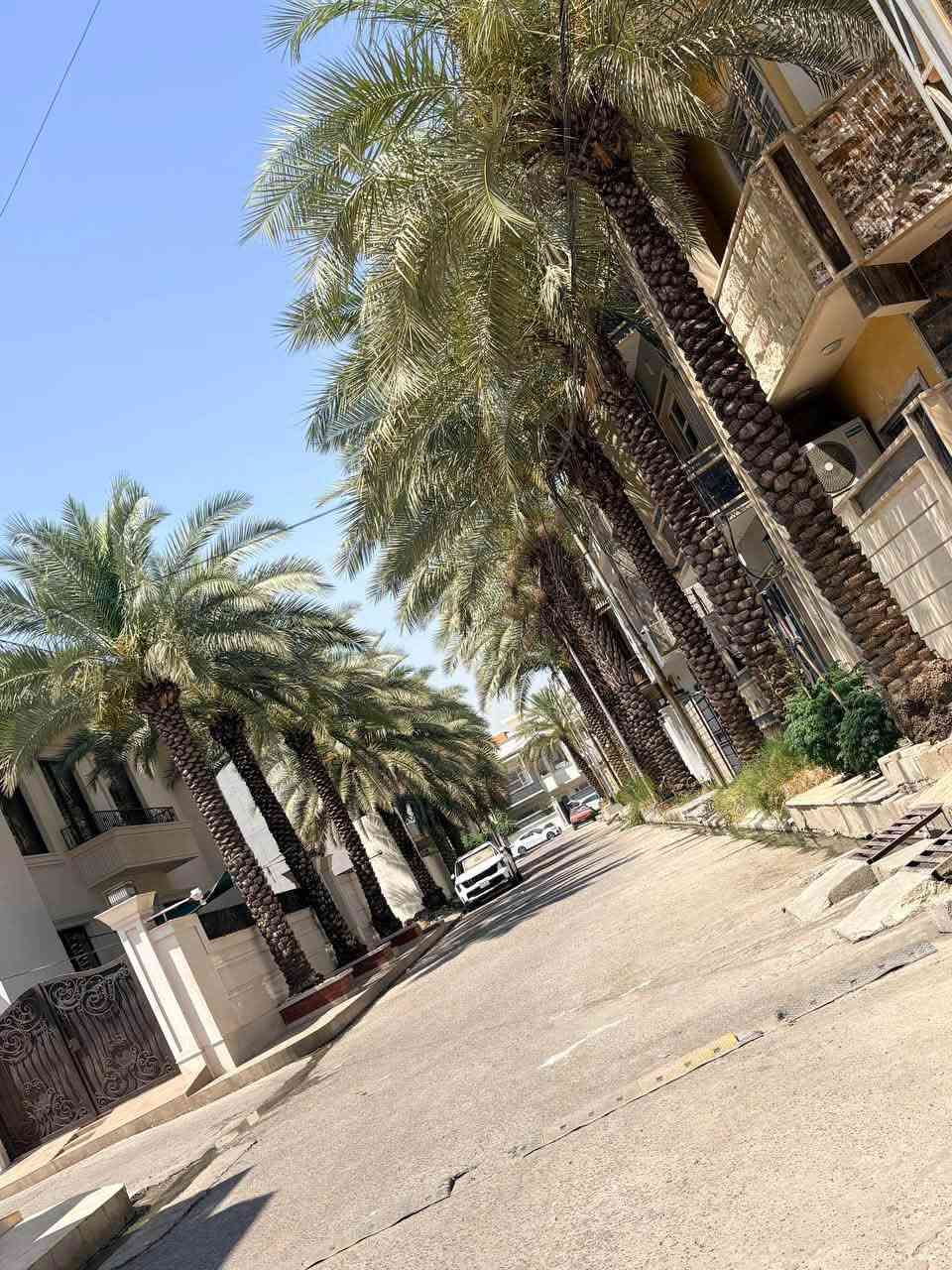 🏡 أرض للبيع – حي المزارع الأولى

📍 الموقع: حي المزارع الأولى
📐 المساحة: 150 م²
📏 الواجهة: 7.5 م
📏 العمق: 20 م
🕌 قرب جامع القادر
📄 صنف الأرض: زراعي (كارت بلدية)
🌅 الاتجاه: شروق ابتدائي

✨ فرصة مميزة للاستثمار أو السكن في منطقة هادئة

📞 للاستفسار والتواصل:
🏢 مكتب علي الحمداني لتجارة العقارات
📍 الموصل – حي البلديات مقابل منتزه الكفاءات الأولى 
📱 ***********
📱 *********** 
📢 تابعوا عروضنا أولاً بأول على التلكرام:
🔗 https://t.me/alialhamdany2
