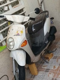 دراجة فلة • كوت طشاش شارع القاضي