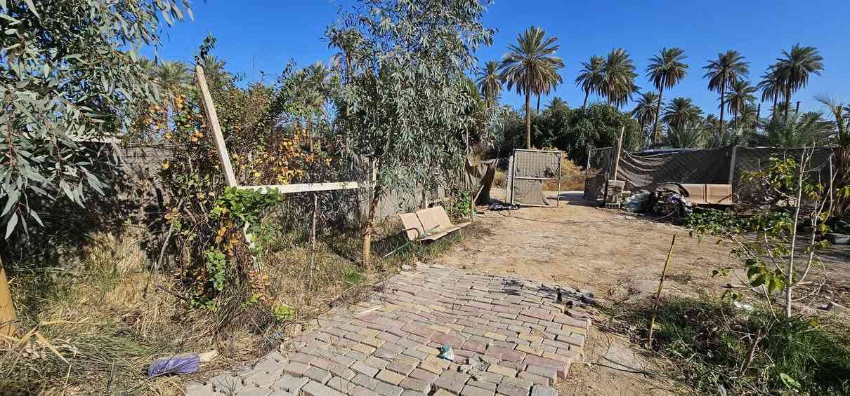 💥 المصداقية سر نجاحنا 💥

💢 دونم واحد وجهه على فرع 96 متر تقريبا والعرض 26 متر تقريبا محدد من جميع الجهات 
💢 جنس الأرض طابو زراعي سند 25
💢 جميع الخدمات متوفرة وتصلح سكن أو منتجع ترفيهي عن الشارع التبليط 40 متر
 عرض الفرع النازل لها فقط 4 متر
💢 يحتوي على كرفان سويت استراحة ومجموعة من الأشجار والنخيل وانارة ليله داير مداير البستان وأيضا يحتوي على حوض خزن المياه وكلشي موضح بالفيديو بالتعلقيات 

💢 العنوان// كربلاء _ تبعد عن الإمامين عليهم السلام 18 كيلو والها أكثر من مدخل بين شارع كربلاء _ طويريج  وشارع نجف _ كربلاء 

💢 السعر = 105 مليون وقابل للتفاوض 
 

🔴عندك عقار للبيع و محتار  يم الملاك لا تحتار سهله ما عليك سوى التواصل معنا : 

☎️ ***********          ☎️ ***********
                  محمد أبو ملاك الحسناوي 

زوروا موقعنا : مكتب أملاك الخير _ شارع الرابط _ مقابيل المعمل المقرنص
