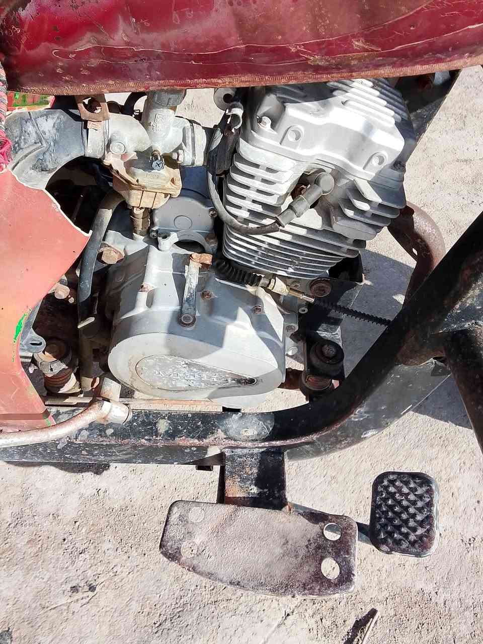 سلام عليكم ستوته فرس لبيع موديل 2014وراق ستنساخ سعر مليون وميه وبيه مجال الماكن القرنه نهر الباشه ***********
