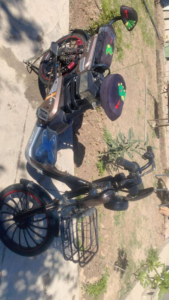 دراجة فول ابو غريب الزيتون
*********** بغداد, العراق
