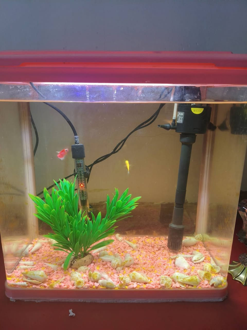 سلام عليكم حوض سمج حجم كبير للبيع نضيف  جهاز اوكسجين شغال جهاز تدفئه شغال اي عيب مابيهم 
سعره كامل ويا غراض ويا سمج 50 الف 
ورقم ***********
