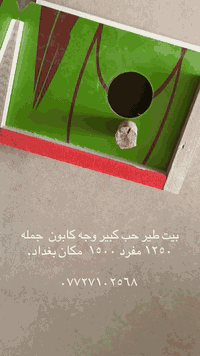 سلام عليكم متاح بيوت جميع أنواع الطيور مكان جمله ومفرد. مكان بغداد جسر ديالى *********** متوفر توصيل جميع الحافضات
