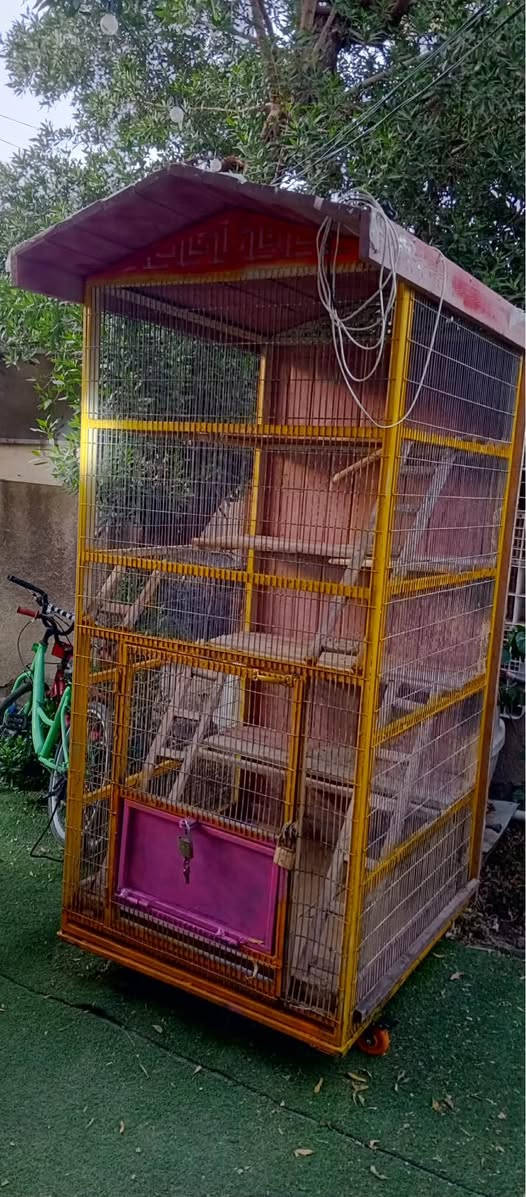 برج للطبور مع دراجه شحن جدا نظيفه مكان الاعلام بغداد بغداد, العراق


**إذا كنت صاحب هذا الإعلان وتريد حذفه لأي سبب، رجاءا أرسل رسالة إلى الدعم الفني**