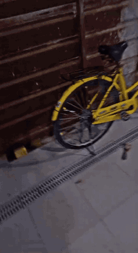 سانتوس • حجم ٢٦ • موديل ٢٠٢٠