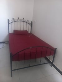 جرباية • نفر ونص • دوشك ١٠٠