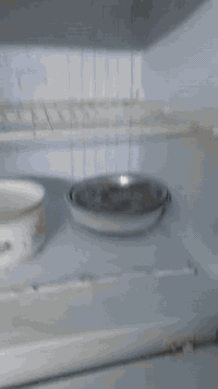 ثلاجه البيع  مكان بغداد مدينه الصدر سعر 125 بي مجال اتصال  على رقم 077...