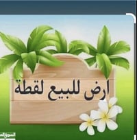 الدغاره هور الجبور • ٣٠٠متر • سند ٢٥
