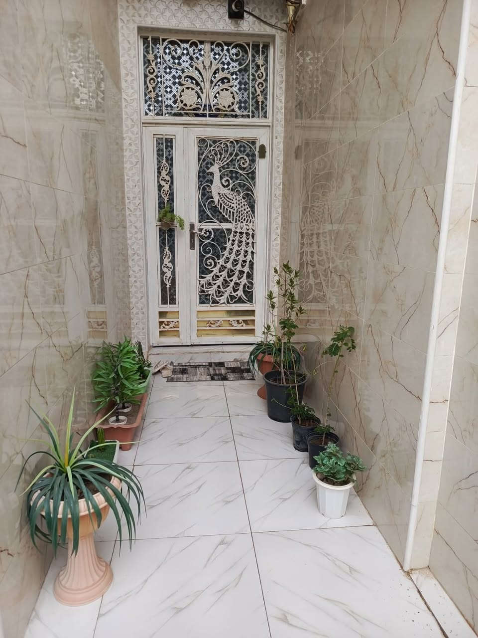 بيت للبيع/ السماوه 
----------------------
منطقة ٣٦ مقابل الحكم 
----------------------
مساحه ١٥٠ متر طابقين شارع ١٥ متر 
----------------------
الاول/ غرفه وصاله وبراني ومطبخ وصحيات 
الثاني/ ٣ غرف وصاله وصحيات مسلح بناء ٢٠١٩
-----------------------
السعر ١٥٠ مليون البيت حر غير مطلوب 
-----------------------
*********** / ***********
-----------------------
للإستفسار مراجعة مكتب عقارات قاسم كاظم الإسكان قرب كافتريا كناري مستعدون للاستقبال كافه العروض
