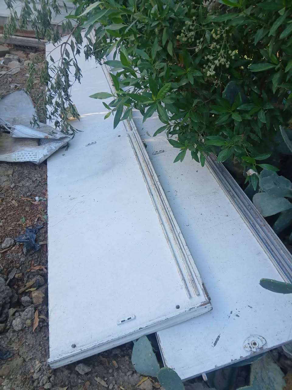 لكنتور نجاره عراقي تصميم تركي ٦ ابواب للبيع تجي تشوفه بعينك مامشدود مكاني بغداد شعله سعره ١٧٥


**إذا كنت صاحب هذا الإعلان وتريد حذفه لأي سبب، رجاءا أرسل رسالة إلى الدعم الفني**