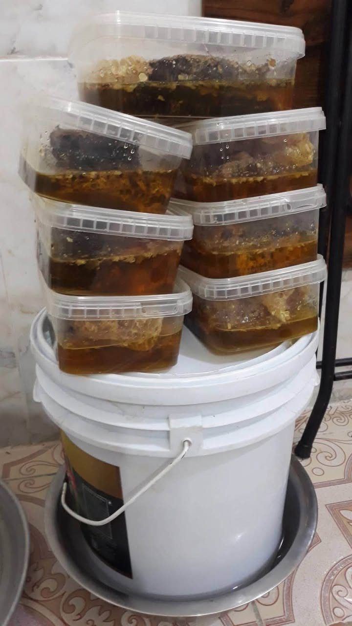 مو جود عسل اصلي طبيعي جبلي
بشرط اصلي


**إذا كنت صاحب هذا الإعلان وتريد حذفه لأي سبب، رجاءا أرسل رسالة إلى الدعم الفني**