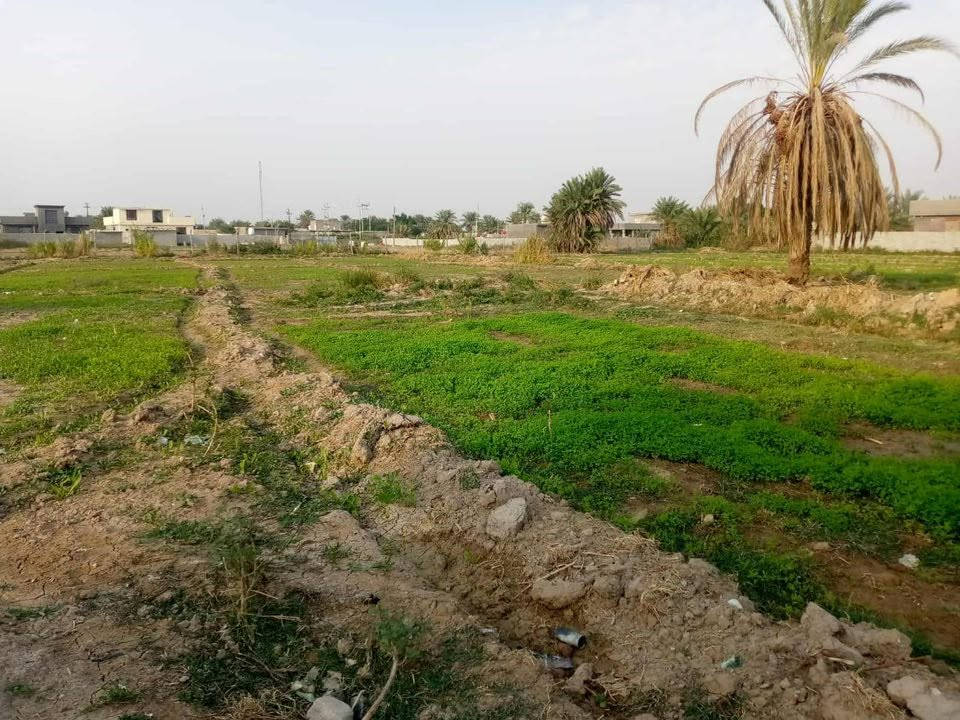 سلام عليكم على بركت الله 
❇️توجد ارض للبيع 
❇️مساحة (40 دونم)
❇️موقع واسط الدبوني
❇️متوفر كل الخدمات
الاستفسار 
مراجعة مكتب عمار احمد سلمان الشمري
التصال….

‭📞***********‬

‭📞***********‬
