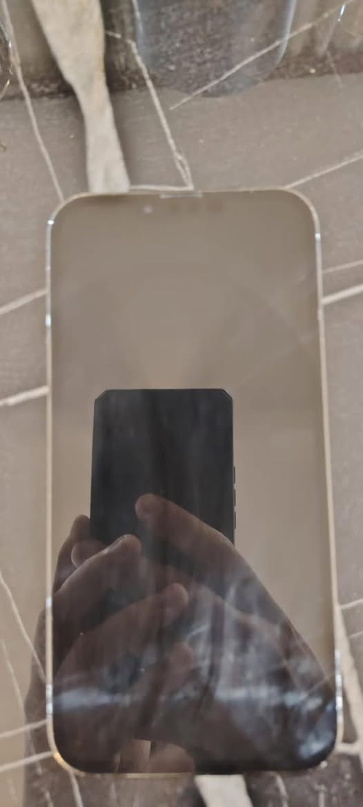 السلام عليكم اخوان 13pro max للبيع بطارية 85 جهاز وتر 512g أخذته يوم 9 ب شهر وصله موجود عندي هوه و شاحنه ويا سعره 700 قفللل بدون عملة جهاز صار عليه 775


**إذا كنت صاحب هذا الإعلان وتريد حذفه لأي سبب، رجاءا أرسل رسالة إلى الدعم الفني**