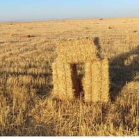 تبن كفر • كمية ٧٠٠٠ • باديت النجف